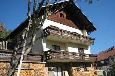 Wohnung + Garage + Stellplatz in sonniger Lage in der Reichenau in Kärnten