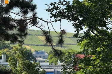* Park und Weinbergblick *