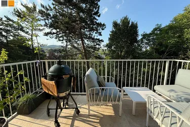 * Top sanierte Wohnung mit Park und Weinbergblick *