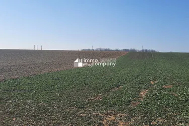 Einmalige Gelegenheit großer Grund mit Bohrrecht Thermalwasser - Unique opportunity to acquire large land near Heviz with drilling rights for thermal water.