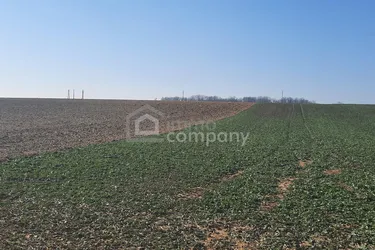 Einmalige Gelegenheit großer Grund mit Bohrrecht Thermalwasser - Unique opportunity to acquire large land near Heviz with drilling rights for thermal water.