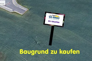 Großer Baugrund ca. 1.130m² Grund 1