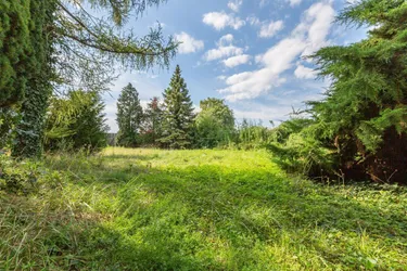 Ortszentrum Hennersdorf: Wunderschönes Wohnbau-Grundstück im Kerngebiet (12 Wohneinheiten)