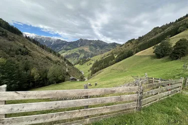 Land- und Forstwirtschaft (ca. 11,9 ha) mit gesamter Hofstätte in ruhiger Lage von Rauris zu verkaufen