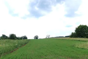 G A A D E N – 6,7 km von - D O R N B A C H ! Nur noch 1 Idyllisches Grundstück mit Fernblick verfügbar!!