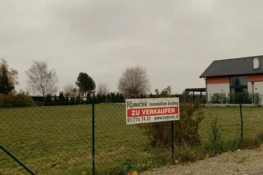 Unbebautes Grundstück in Groß Enzersdorf