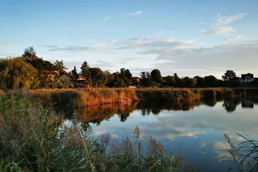 Hennersdorf bei Wien - Großzügiges Seegrundstück für Ihr Traumhaus direkt am Wasser | Hennersdorf near Vienna - Spacious lakeside plot for your dream home right on the water