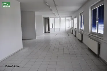Büro, Geschäft, Werkstatt, Lager! Industriegelände Donnerskirchen! ab 10 m² ab 80€ Netto/Monat!