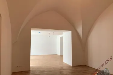 Expose Wohnung - Praxis oder Büro in Wiener Neustadt, Hauptplatz, Erstbezug nach Sanierung