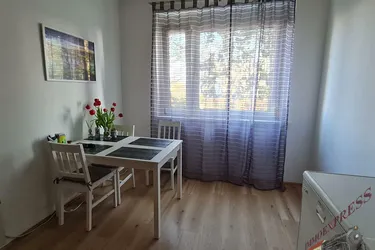 Schöne Single-Wohnung mit neuem Badezimmer in Pöchlarn