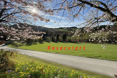 Bromberg am Beginn der Buckligen Welt: Sonniger Baugrund in leichter Hanglage!