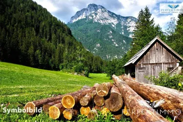 Wald- und Wiesengrundstücke in Arzl im Pitztal