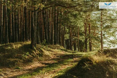 Waldgrundstücke in Arzl im Pitztal