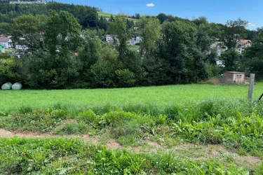 "Herrlicher Baugrund"