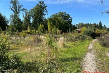 landwirtschaftliche Fläche 23006m²