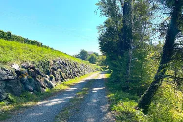SCHEIBENGRUND an der Weinstraße