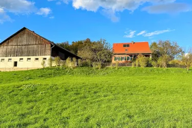 AFLENZ Liegenschaft mit Potenzial