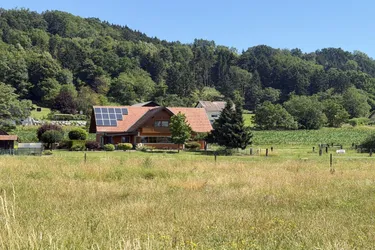 AFRAMBERG WOHNTRAUM