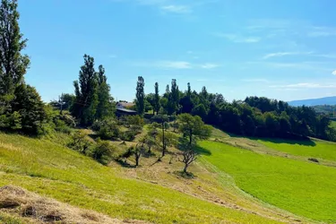 SCHEIBENGRUND an der Weinstraße