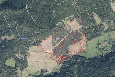 Waldgrundstücke mit 12,6 Hektar im Leobengraben (Bezirk Spittal an der Drau)