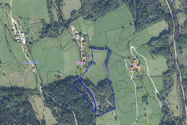 Land- und forstwirtschaftliche Fläche mit 37.394 m² in Puchreit (Bezirk Spittal / Drau)