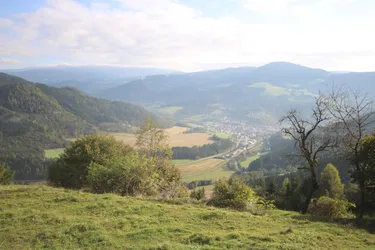 Land- und Forstwirtschaft mit Gebäude in Pirkach bei Brückl (Bezirk St. Veit an der Glan)