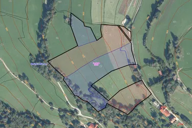 Ca. 3,59 ha landwirtschaftliche Flächen in KG Landfraß - Gemeinde Gmünd (Bezirk Spittal an der Drau) zu verkaufen