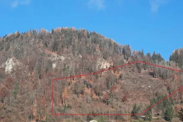 Waldparzellen bei Brückl