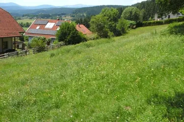 Baugrundstück leichte Hanglage mit sonnigen Aussichten in Weitensfeld im Gurktal
