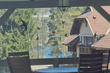 Wörthersee Velden Top Lage Haus mit Seeblick und schönem Garten