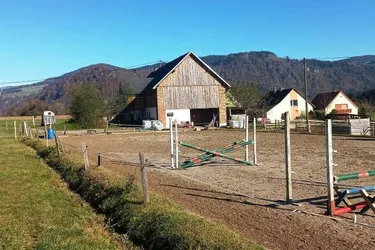 Landwirtschaft 11 ha, mit Hofstelle, Wald und Wiese