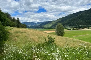 Expose Grundstück in Micheldorf (St. Veit) mit schönem Panoramablick zu verkaufen