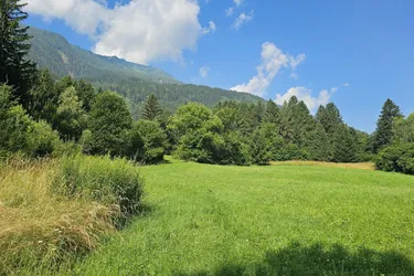 2 Grundstücke in Penk - Wohnen und Landwirtschaft vereinen. Idyllische Lage in Penk.