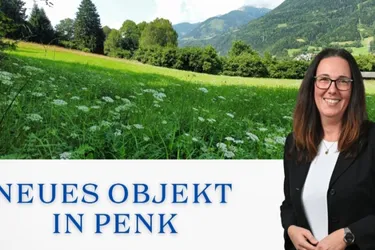 Aufgepasst 3 Grundstücke: Traumhafte Grundstücke - 8.740 m² zum Verwirklichen Ihrer Träume in Penk.!