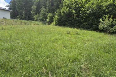 toller Baugrund "Am Sonnenhang"
