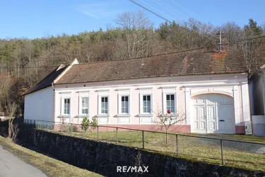 Expose Dreikant-Hof der "besonderen Art" in südburgenländischer Ortsrandlage.
