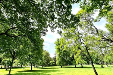 15., Winckelmannstraße - 2,5 Zimmer Eigentumswohnung mit Loggia vis á vis Auer-Welsbach-Park