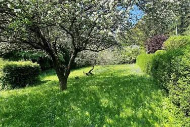 Riederberg / Weideck - vier südseitige Baugrundstücke in absoluter Ruhelage