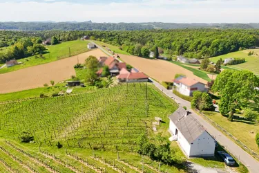 Traumhafte Liegenschaft mit Kellerstöckl und Blick auf die Riegersburg