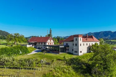 Land &amp; Gut: Arrondierte Allein- &amp; Aussichtslage - Schloss Kolhof.