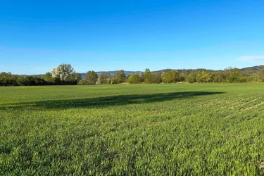 Land &amp; Gut: 4 ha Feld in Wilhering