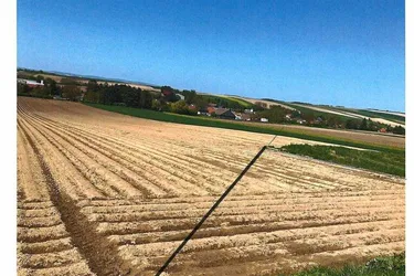Acker in Bruderndorf
