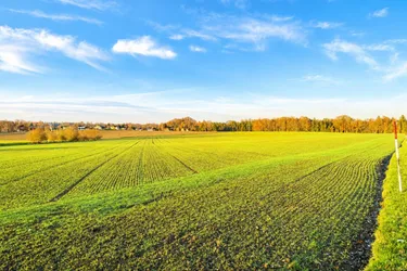 Gilgenberg am Weilhart - Außergewöhnlich attraktive landwirtschaftliche Nutzfläche