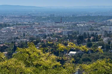 Panoramablick der begeistert - entzückendes Grundstück am Schafberg