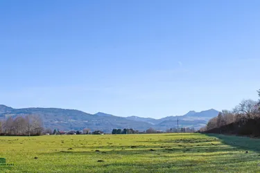 Grundstück mit Altbestand im Süden von Salzburg