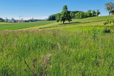 Sonniger Baugrund am Grünland, 30 km nördlich von Salzburg