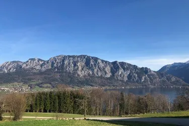 Expose ID 726 Bauernhaus in erhöhter Lage über dem Attersee mit 20 Ha Grund
