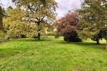Traumhafte Fahnenparzelle am Fuße des Bisambergs