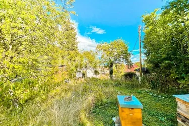 Sommerparadies im Grünen - Ihr Kleingartenglück wartet!