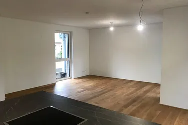 Exklusive Doppelhaushälfte mit 5 Zimmern - Arbeiten oder Arbeiten &amp; Wohnen in Bestlage von Weidling - ZWEITBEZUG